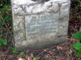 image of grave number 561973